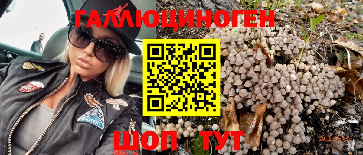 даркнет сайт  Галлюциногенные грибы Psilocybe  Вход с VPN  Городец 